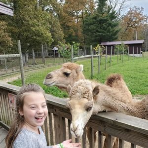 Meet your Posher, Morris